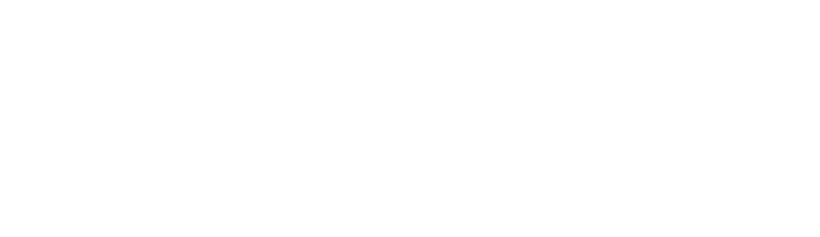 omniX Logo